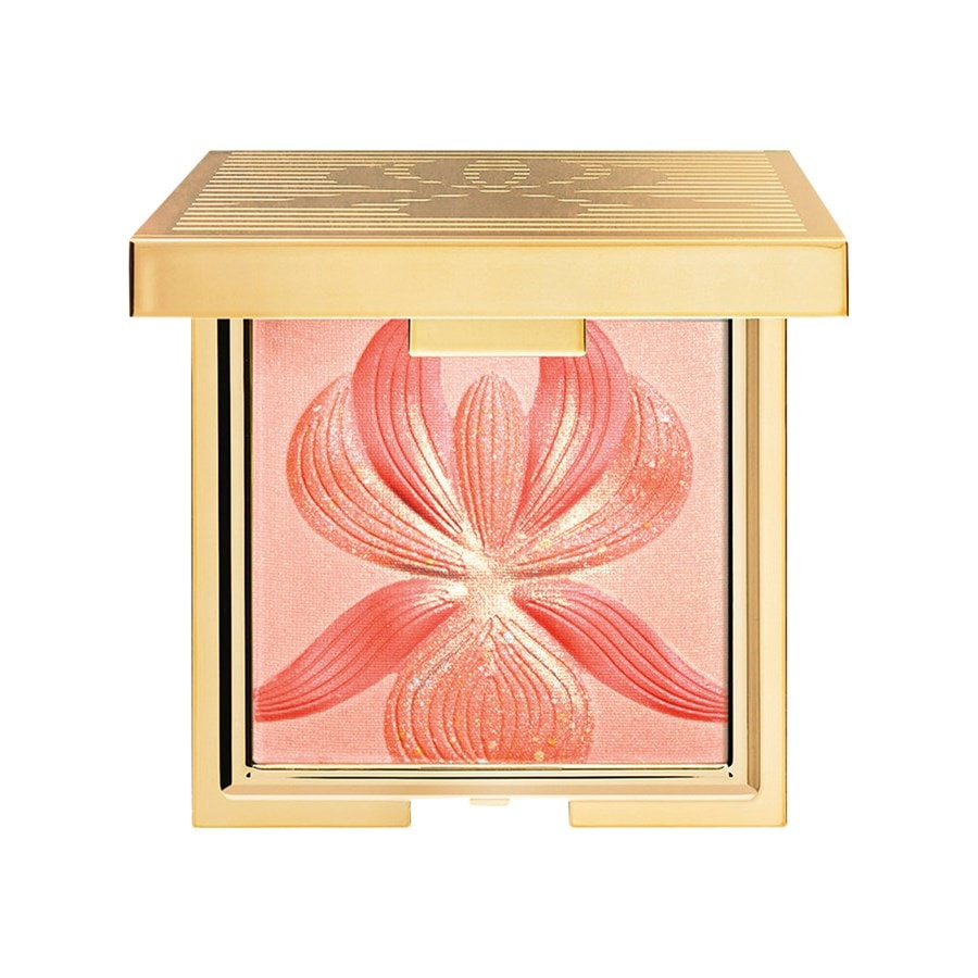 Тональная основа Sisley Highlighter Blush, L'Orchidée Corail / 15 g 
Тональная основа Sisley Highlighter Blush, L'Orchidée Corail / 15 g