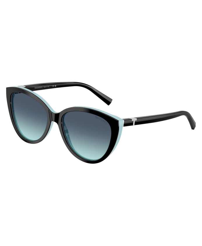 Солнцезащитные очки TF4251 Tiffany, черный
Солнцезащитные очки TF4251 Tiffany, черный