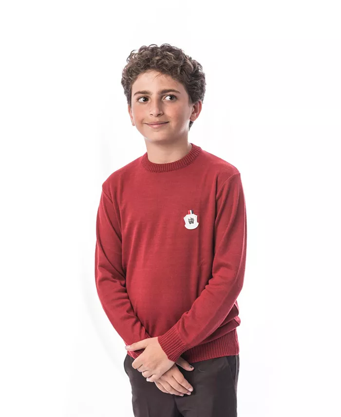 Свитер с круглым вырезом Modern для мальчиков, красный Elie Balleh
Свитер с круглым вырезом Modern для мальчиков, красный Elie Balleh