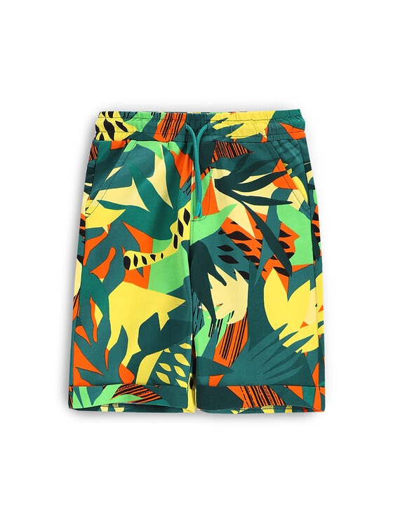 Спортивные шорты обычного кроя WC5120504TBJ Coccodrillo, мультиколор
Спортивные шорты обычного кроя WC5120504TBJ Coccodrillo, мультиколор