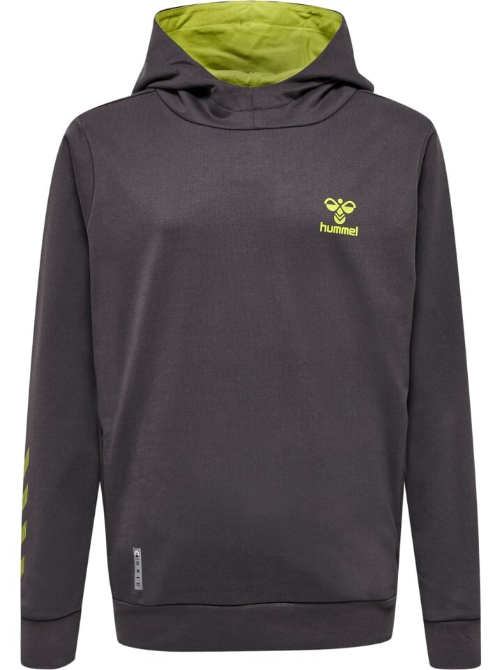 Худи Hummel Hmloffgrid Multisport Kinder, цвет forged iron/dark citron
Худи Hummel Hmloffgrid Multisport Kinder, цвет forged iron/dark citron