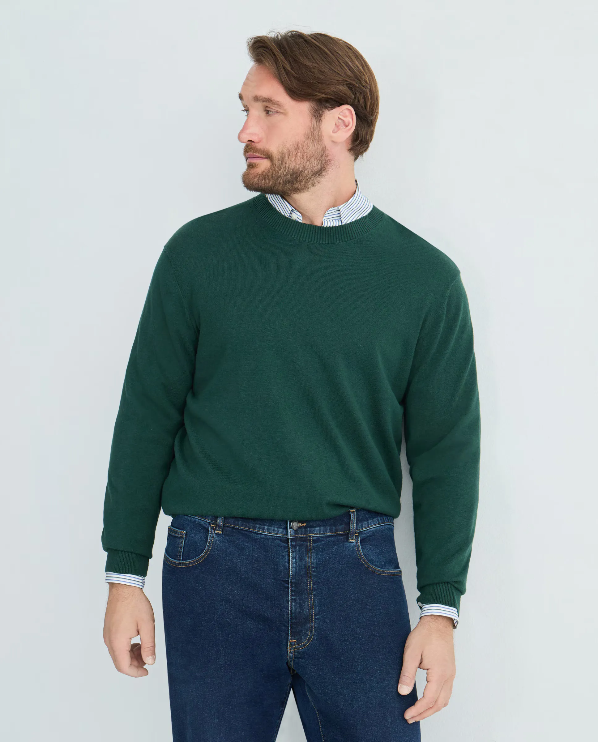 Базовый джемпер с круглым вырезом для мужчин больших размеров Dustin, темно-зеленый
Базовый джемпер с круглым вырезом для мужчин больших размеров Dustin, темно-зеленый