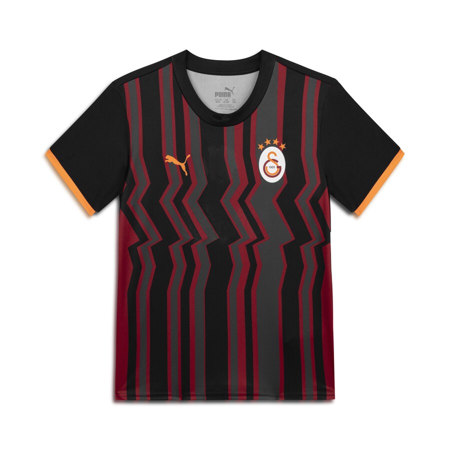 Рубашка для выступлений PUMA Galatasaray SK 24/25, черный
Рубашка для выступлений PUMA Galatasaray SK 24/25, черный