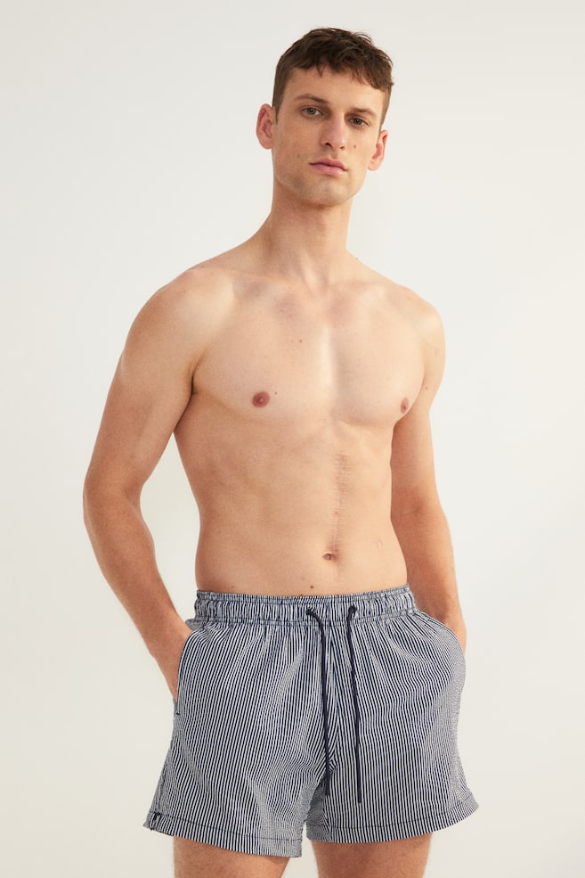 Шорты для плавания из сирсакера H&M, мультиколор
Шорты для плавания из сирсакера H&M, мультиколор