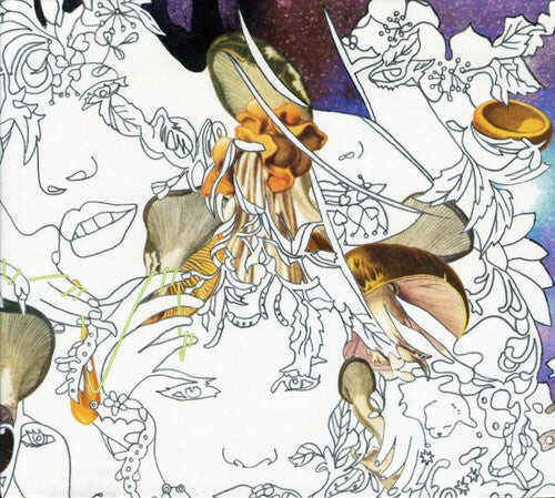 CD диск Dykehouse: Midrange
CD диск Dykehouse: Midrange