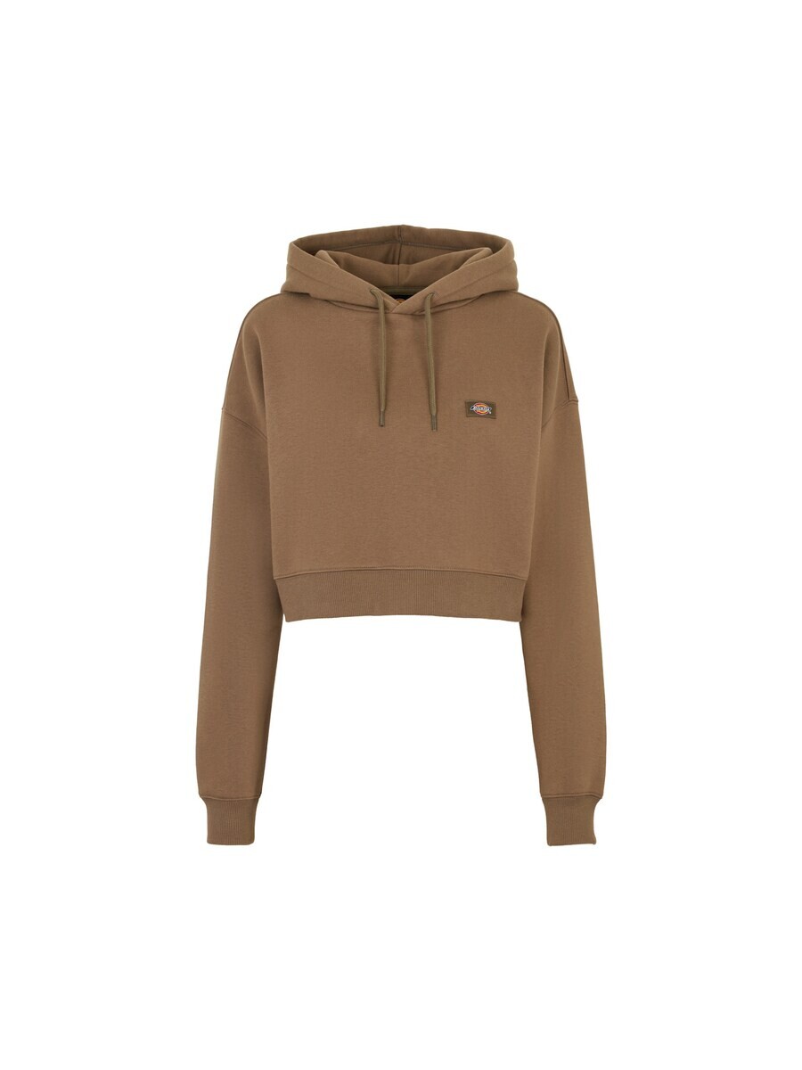 Толстовка с капюшоном DICKIES Sweatshirt Oakport, коричневый 
Толстовка с капюшоном DICKIES Sweatshirt Oakport, коричневый