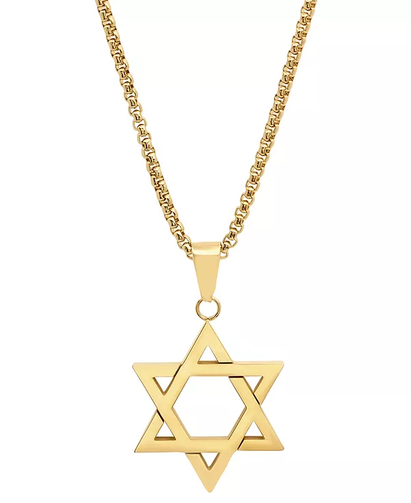 Мужское ожерелье с подвеской в виде звезды Давида из нержавеющей стали, покрытой 18-каратным золотом, 24 дюйма Steeltime, gold
Мужское ожерелье с подвеской в виде звезды Давида из нержавеющей стали, покрытой 18-каратным золотом, 24 дюйма Steeltime, gold