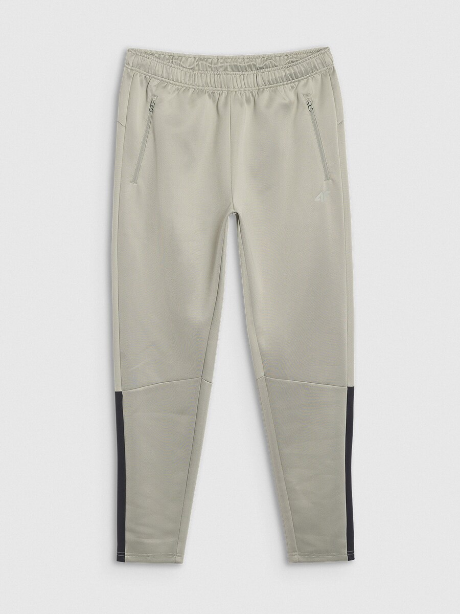 Обычные спортивные штаны 4F, пастельный зеленый
Обычные спортивные штаны 4F, пастельный зеленый