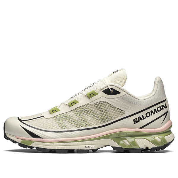 Кроссовки xt-6 ft 'beige green' Salomon, бежевый
Кроссовки xt-6 ft 'beige green' Salomon, бежевый
