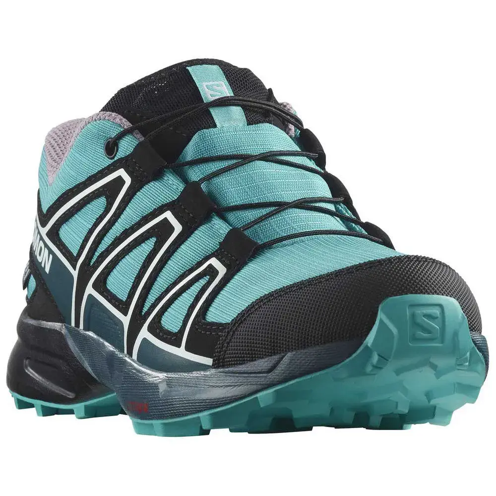 Походные ботинки Salomon Speedcross CSWP, синий
Походные ботинки Salomon Speedcross CSWP, синий