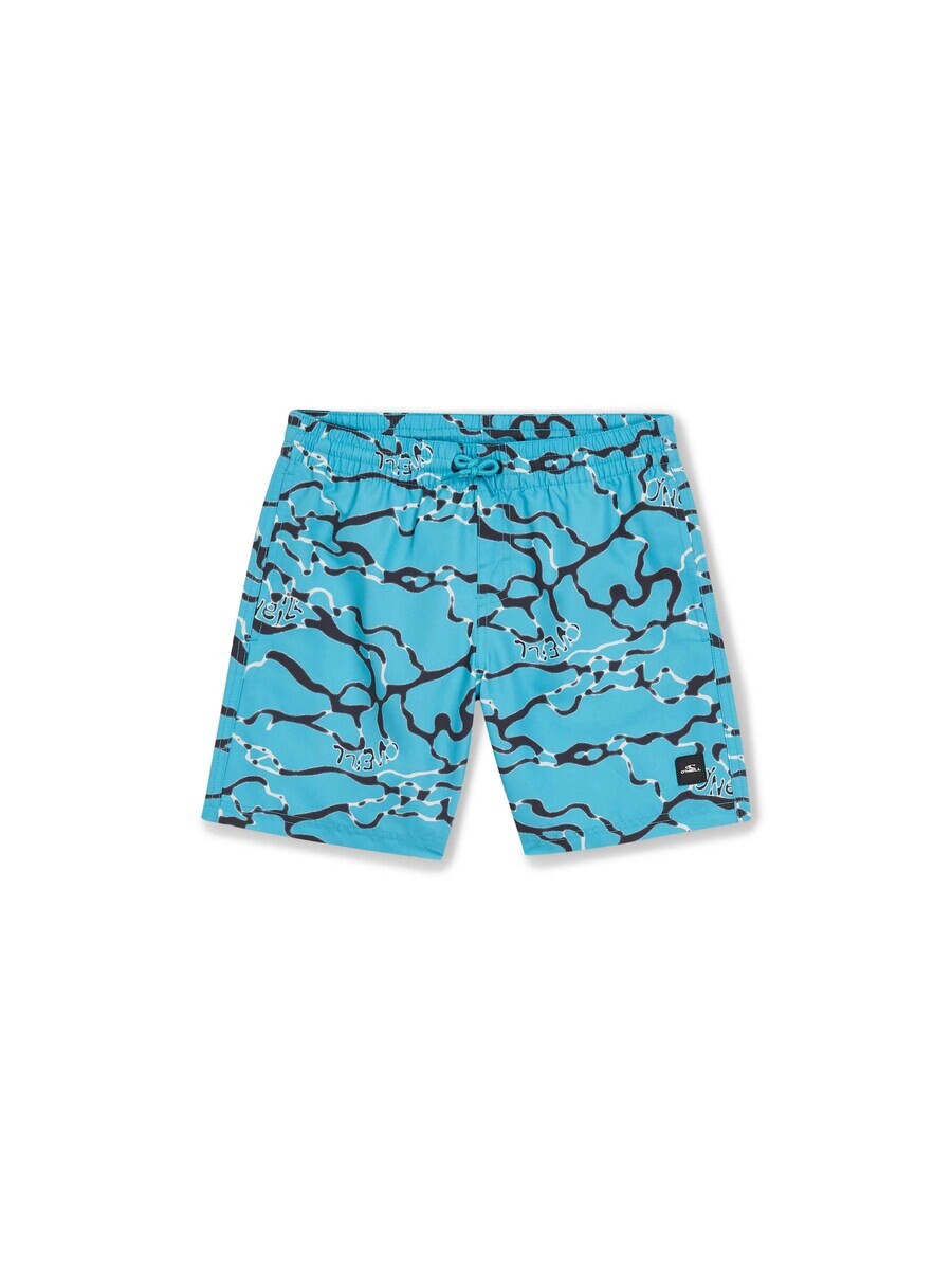 Пляжные шорты O'NEILL ONEILL BOARD SHORTS, светло-синий
Пляжные шорты O'NEILL ONEILL BOARD SHORTS, светло-синий