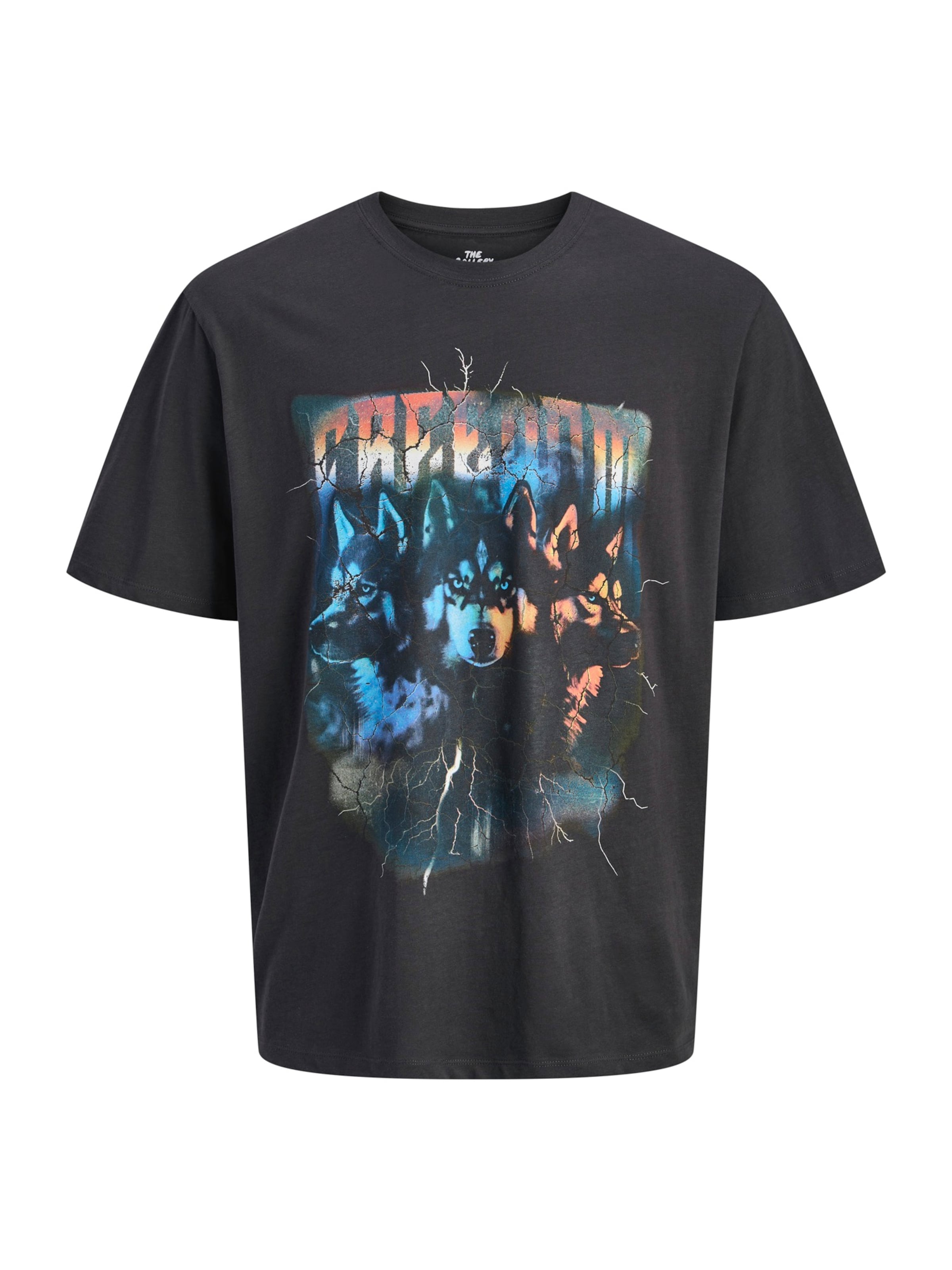 JACK & JONES Футболка 'JORBAND' в черном цвете
JACK & JONES Футболка 'JORBAND' в черном цвете