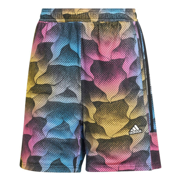 Шорты тиро принт сетка летние шорты азиатские размеры Adidas, черный
Шорты тиро принт сетка летние шорты азиатские размеры Adidas, черный