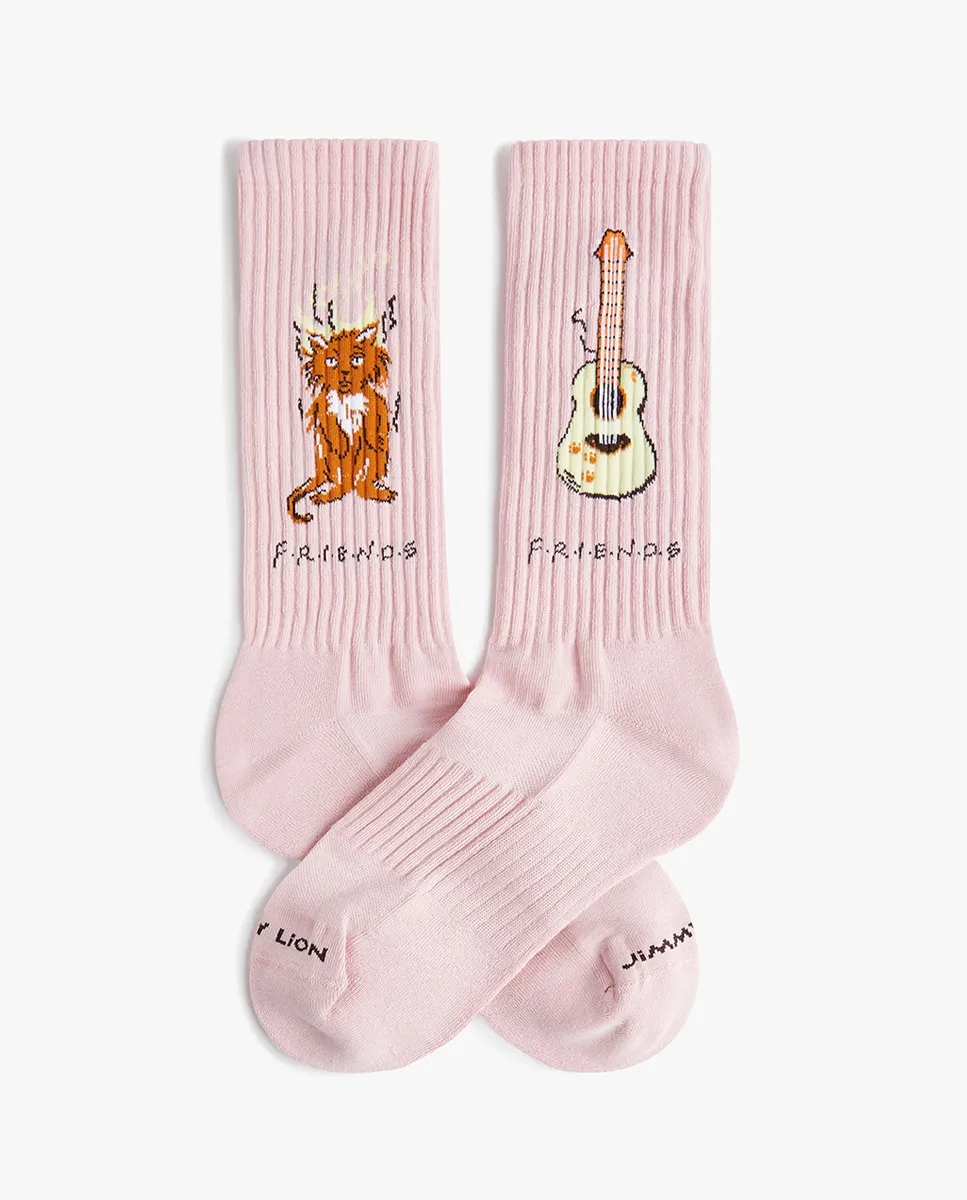 Женские спортивные носки Friends Jimmy Lion, розовый
Женские спортивные носки Friends Jimmy Lion, розовый