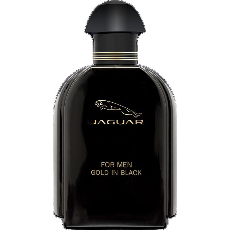 Gold in Black, EdT 100 ml Jaguar
Gold in Black, EdT 100 ml Jaguar