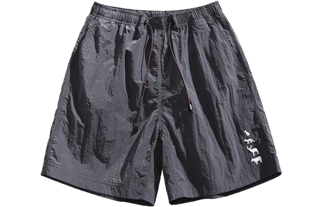 Повседневные шорты унисекс CLOR, темно-серый
Повседневные шорты унисекс CLOR, темно-серый