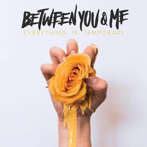 Виниловая пластинка Between You & Me - Everything Is Temporary 
Виниловая пластинка Between You & Me - Everything Is Temporary