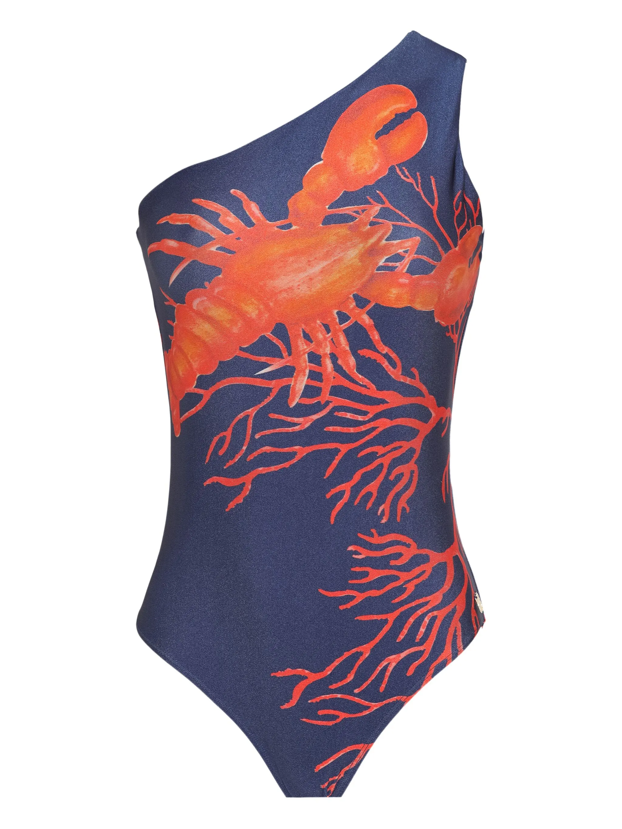 Купальник с графичным принтом Brigitte, синий
Купальник с графичным принтом Brigitte, синий