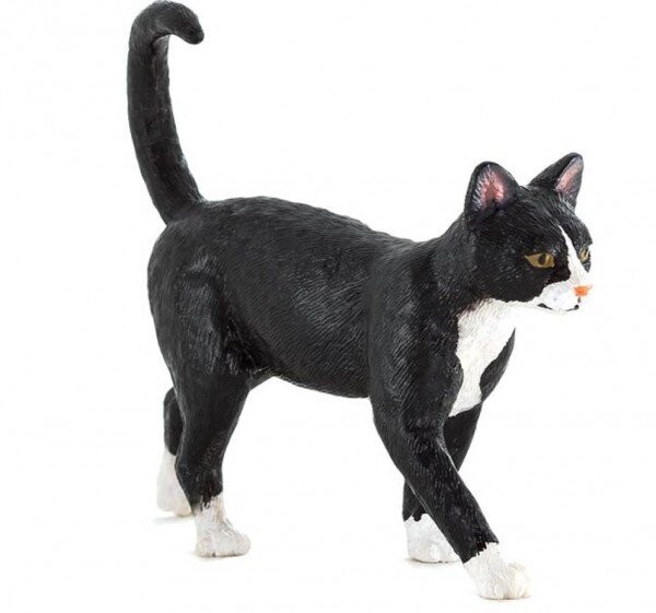 Планета животных Домашняя кошка Animal Planet
Планета животных Домашняя кошка Animal Planet