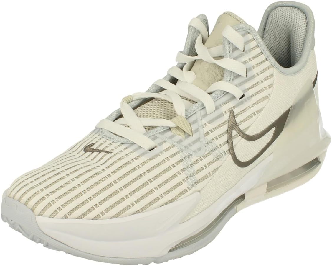 Мужская спортивная обувь Nike, Summit 102 Pewter White
Мужская спортивная обувь Nike, Summit 102 Pewter White