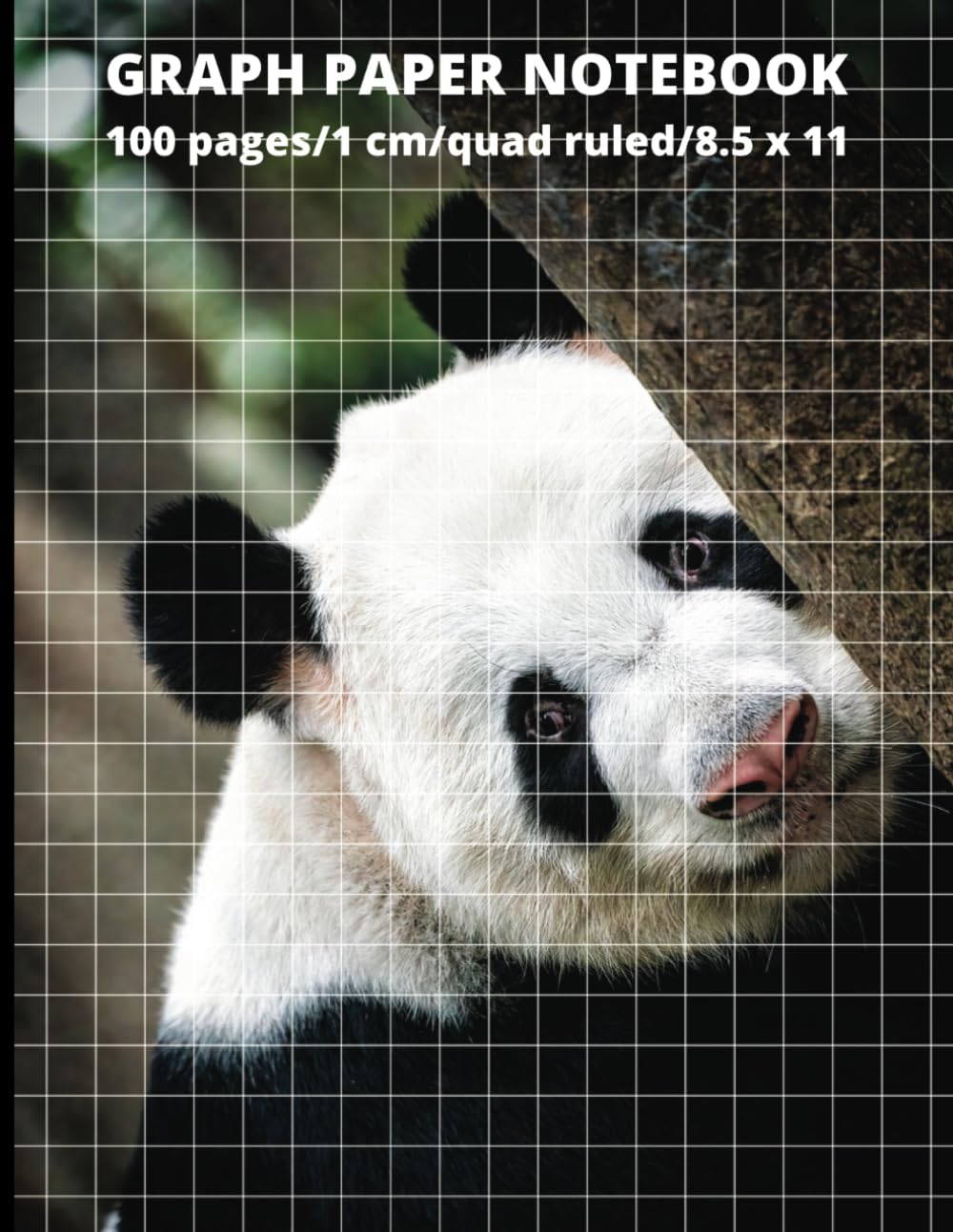 Graph Paper Notebook: Grid Paper Notebook, Grid Paper for Math and Science Students, Quad Ruled 1 cm (Spanish Edition) (Independently published)
Graph Paper Notebook: Grid Paper Notebook, Grid Paper for Math and Science Students, Quad Ruled 1 cm (Spanish Edition) (Independently published)