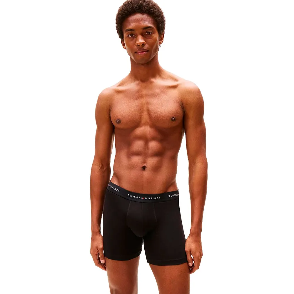 Боксеры 3 шт Tommy Hilfiger UM0UM03696 Brief, черный
Боксеры 3 шт Tommy Hilfiger UM0UM03696 Brief, черный