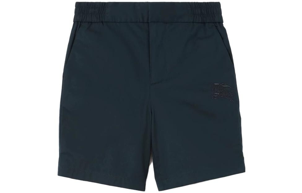 Шорты детские Burberry, темно-синий 
Шорты детские Burberry, темно-синий