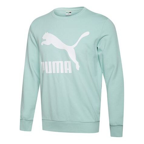 Толстовка classics printing round neck pullover green Puma, зеленый
Толстовка classics printing round neck pullover green Puma, зеленый