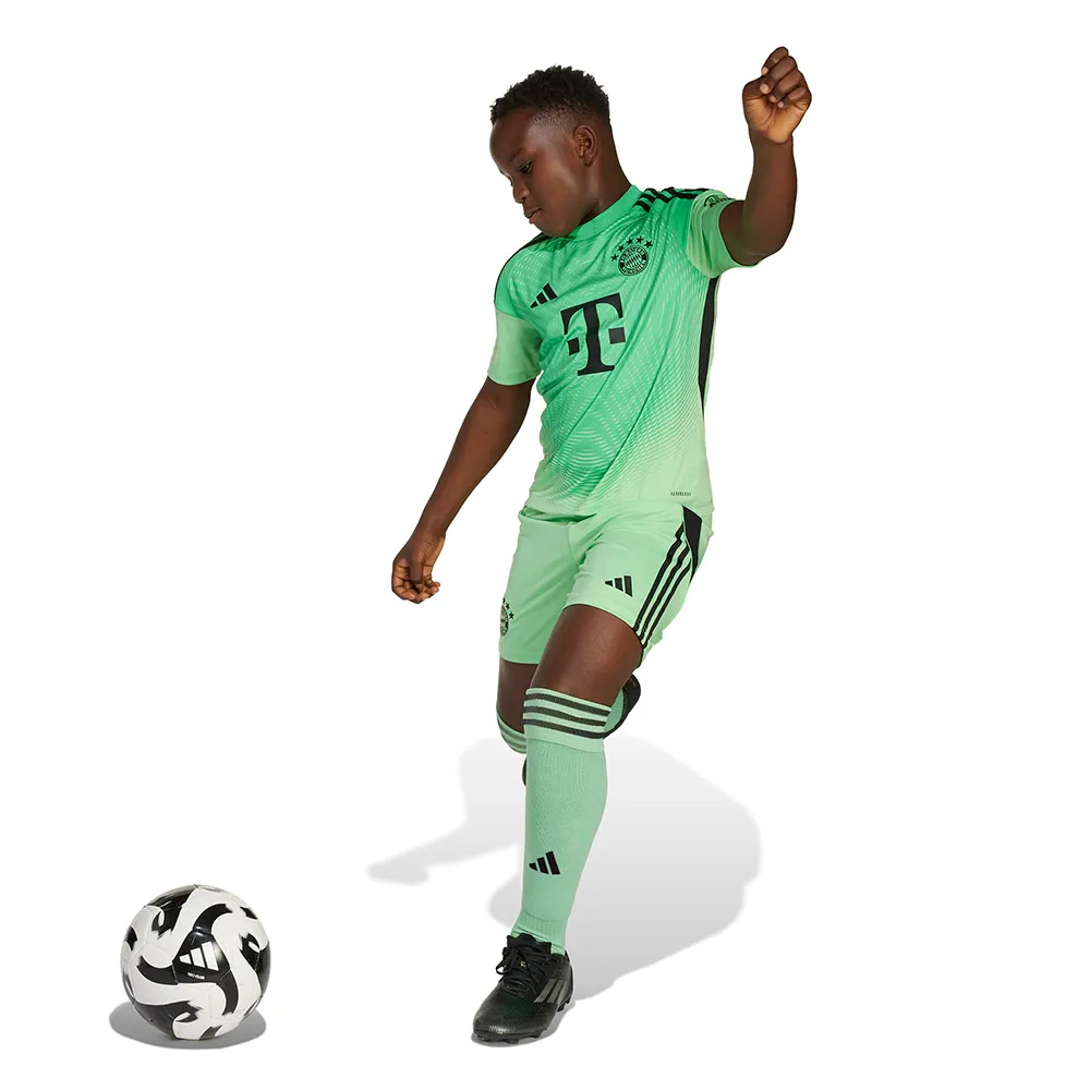Футболка с коротким рукавом adidas FC Bayern 25/26 goalkeeper junior, зеленый
Футболка с коротким рукавом adidas FC Bayern 25/26 goalkeeper junior, зеленый