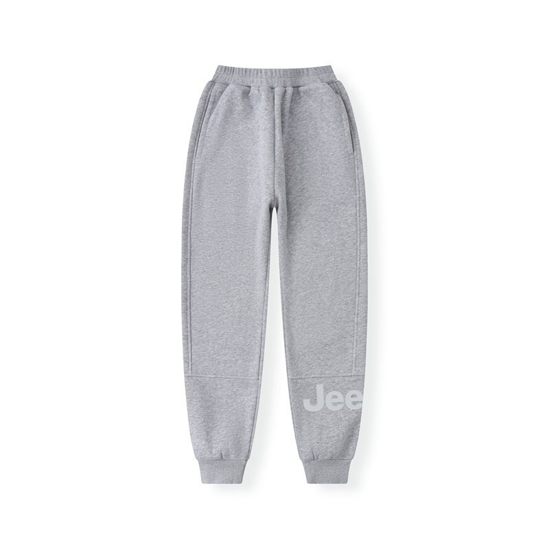 Детские спортивные штаны Thickness Jeep, серый
Детские спортивные штаны Thickness Jeep, серый