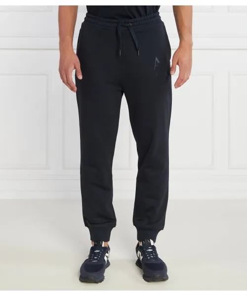 Спортивные штаны Regular fit Armani Exchange, синий
Спортивные штаны Regular fit Armani Exchange, синий