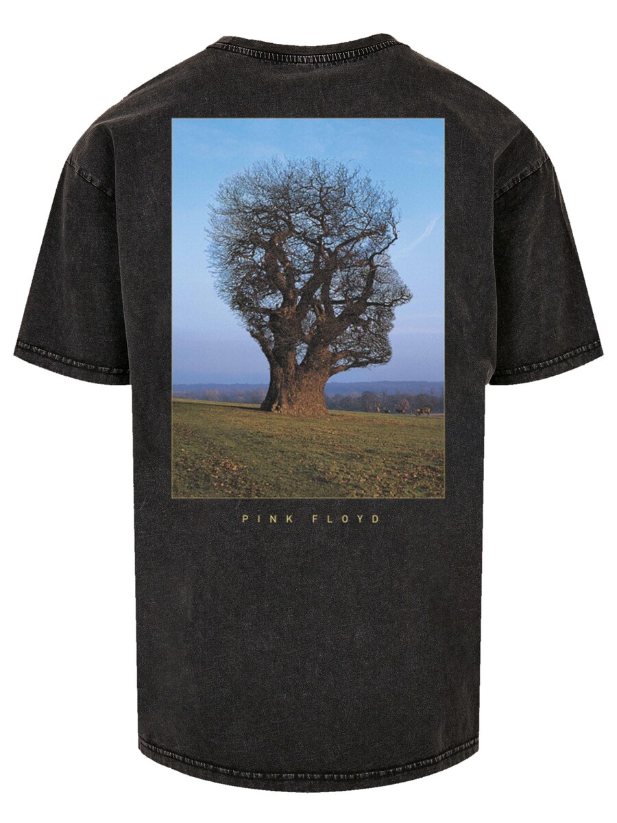 Рубашка F4NT4STIC Pink Floyd Tree Head, черный
Рубашка F4NT4STIC Pink Floyd Tree Head, черный