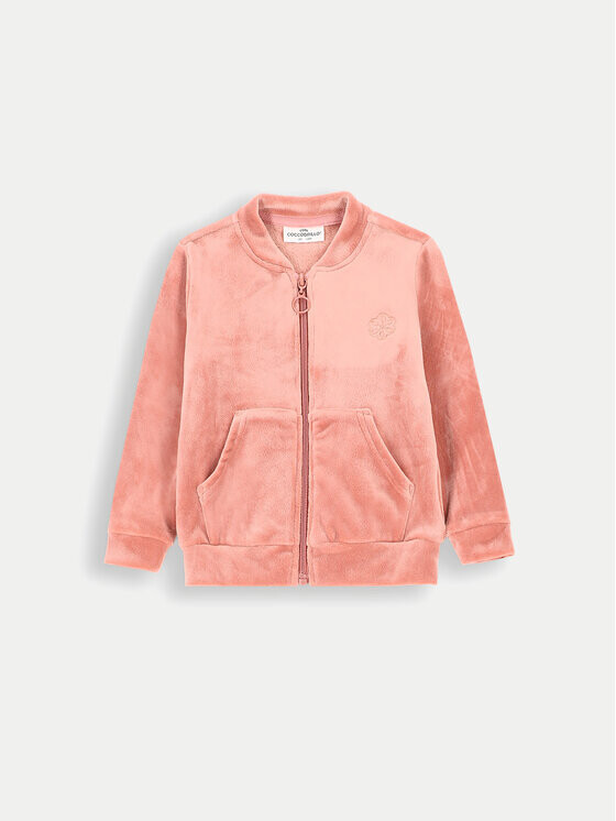 Толстовка обычного кроя Coccodrillo, розовый
Толстовка обычного кроя Coccodrillo, розовый