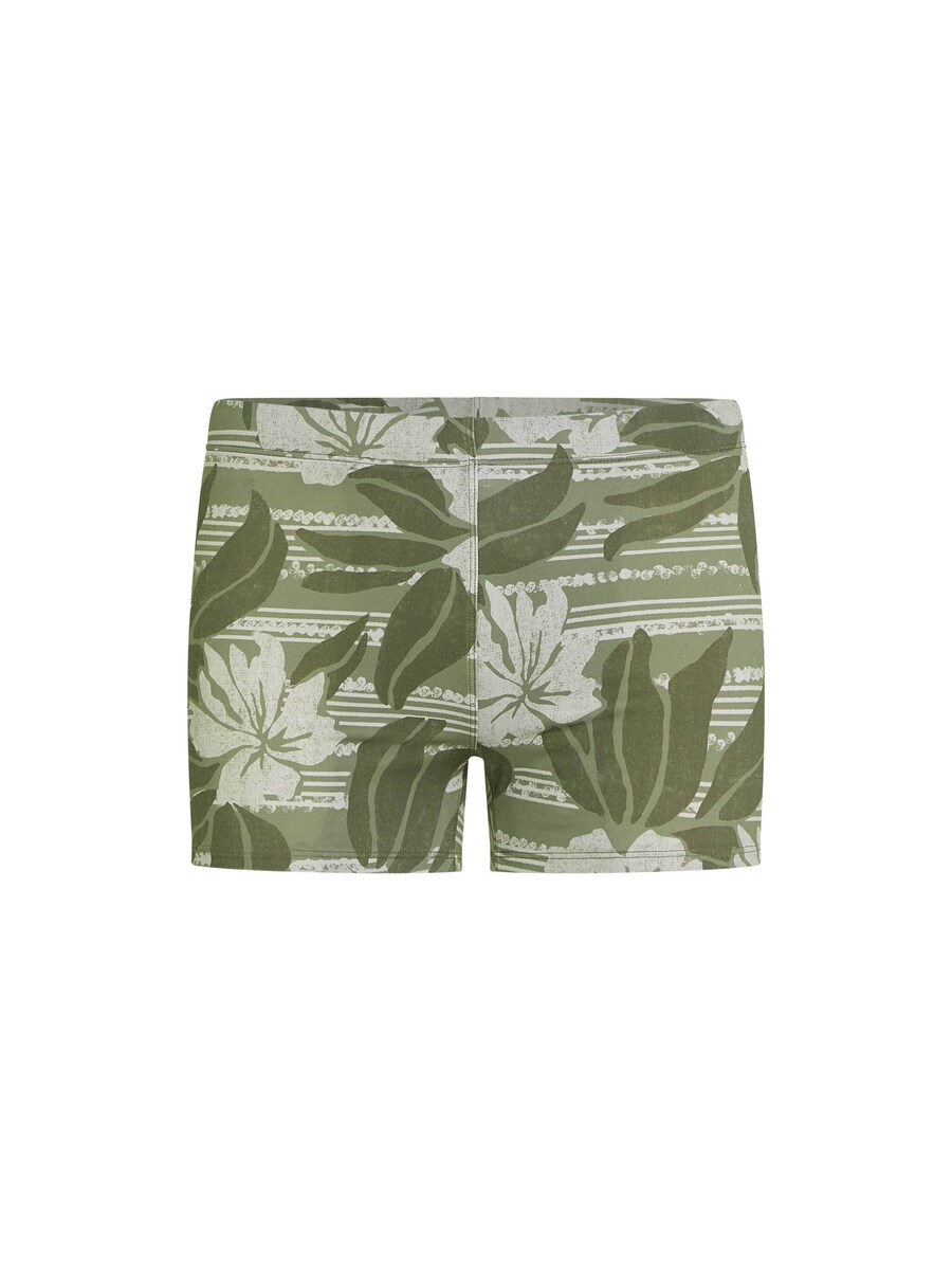 Плавки O'NEILL Essentials Racer, зеленый
Плавки O'NEILL Essentials Racer, зеленый