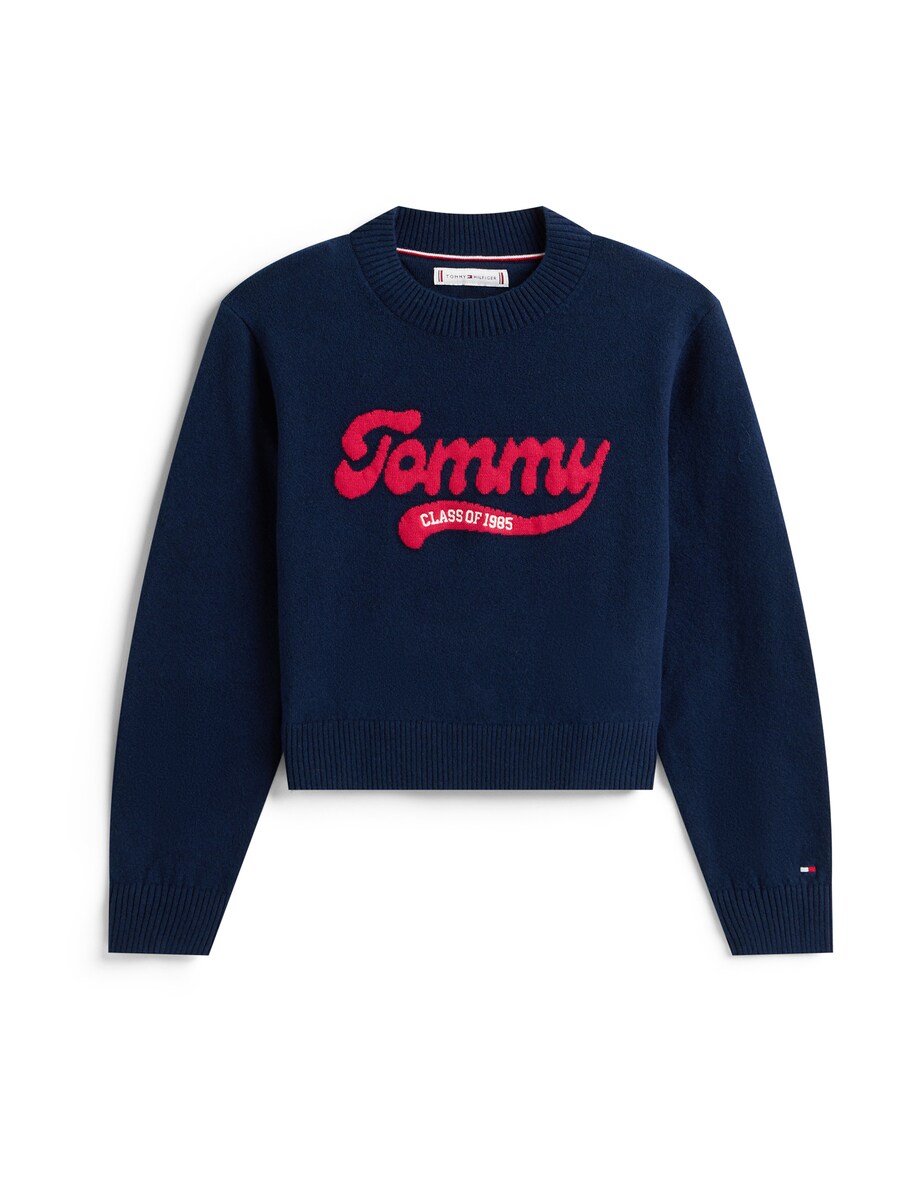 Свитер TOMMY HILFIGER, marine blue
Свитер TOMMY HILFIGER, marine blue