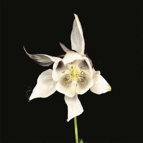 Виниловая пластинка Fridge: Happiness
Виниловая пластинка Fridge: Happiness