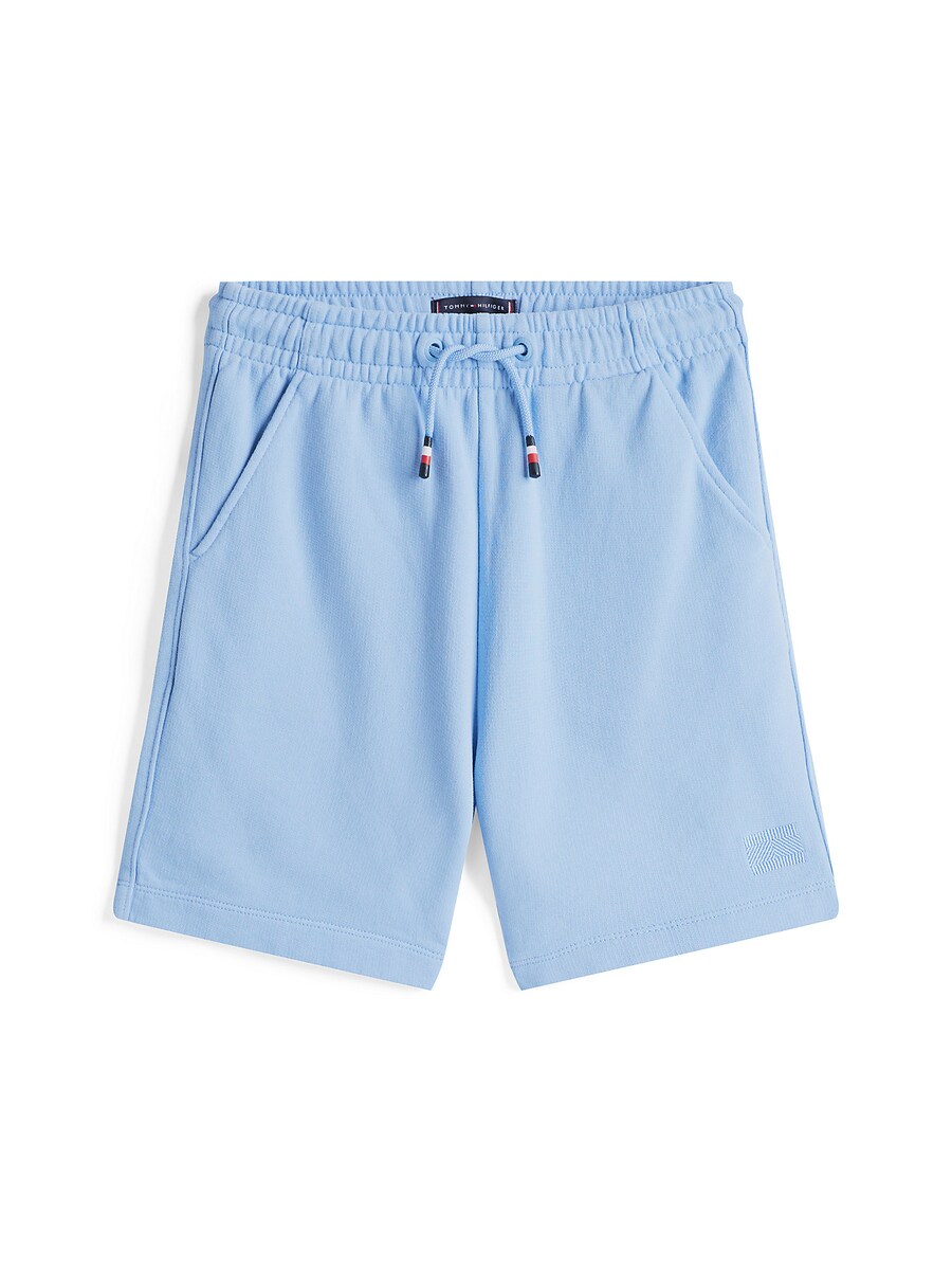 Брюки TOMMY HILFIGER, светло-синий
Брюки TOMMY HILFIGER, светло-синий