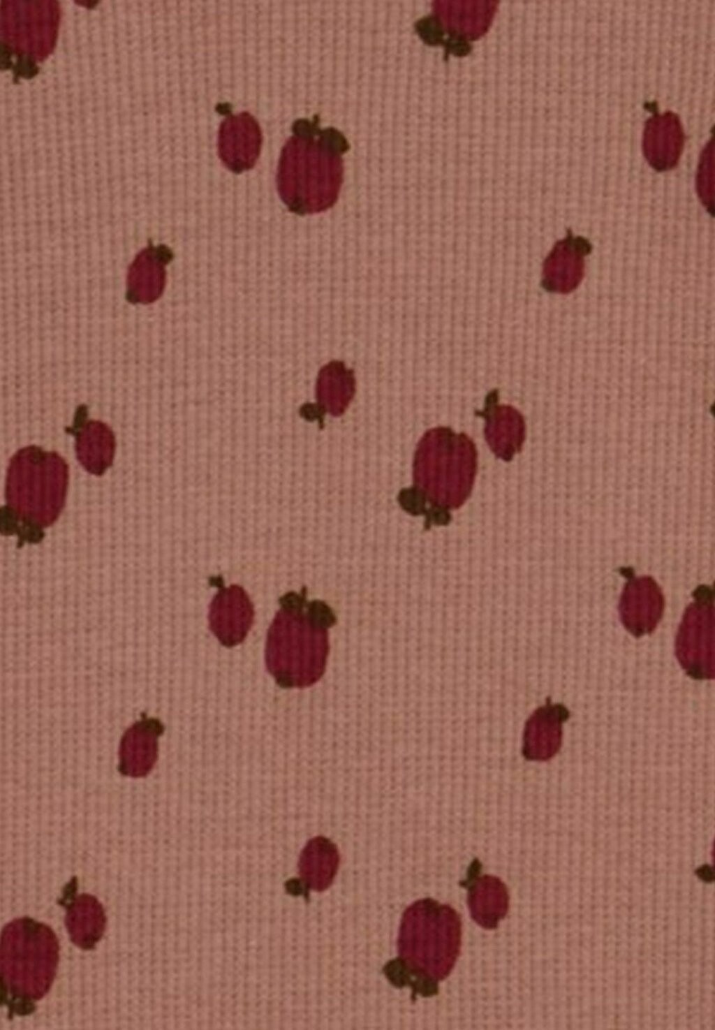 Топ с длинными рукавами Müsli by GREEN COTTON, светло-розовый
Топ с длинными рукавами Müsli by GREEN COTTON, светло-розовый