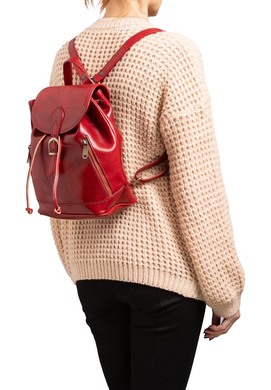 Рюкзак Chiara Ferretti Rucksack, Red
Рюкзак Chiara Ferretti Rucksack, Red