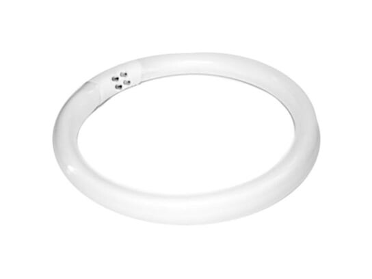 Люминесцентная) Лампа Lupa S4 22 Вт Activ Bulb (, Active Shop
Люминесцентная) Лампа Lupa S4 22 Вт Activ Bulb (, Active Shop