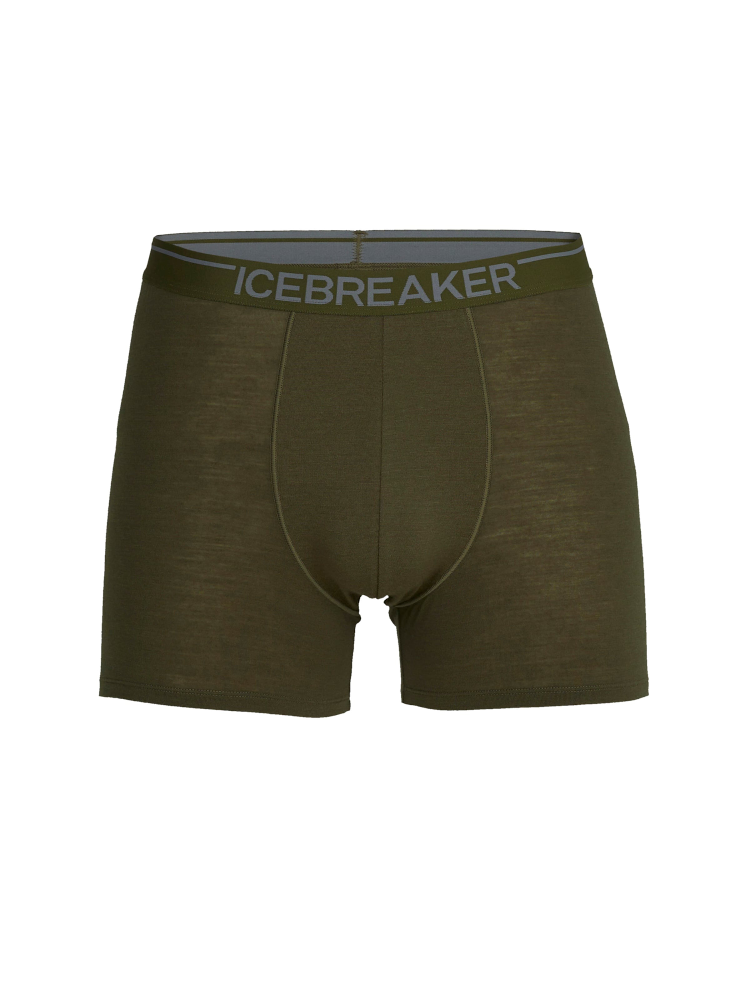 ICEBREAKER Спортивное белье '150 Anatomica' в цвете Olive
ICEBREAKER Спортивное белье '150 Anatomica' в цвете Olive