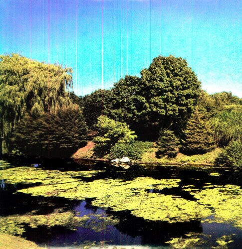 Виниловая пластинка Shellac: Terraform
Виниловая пластинка Shellac: Terraform