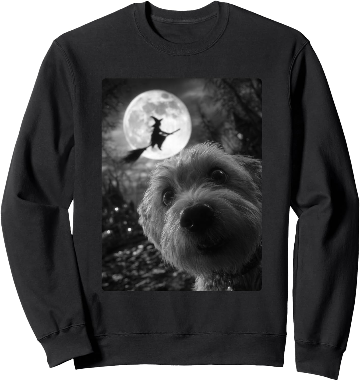 Забавная толстовка с изображением мальтийской болонки, селфи в полнолуние, летающей ведьмы и собаки на Хэллоуин Funny Halloween Animals Selfies Clothing, черный
Забавная толстовка с изображением мальтийской болонки, селфи в полнолуние, летающей ведьмы и собаки на Хэллоуин Funny Halloween Animals Selfies Clothing, черный