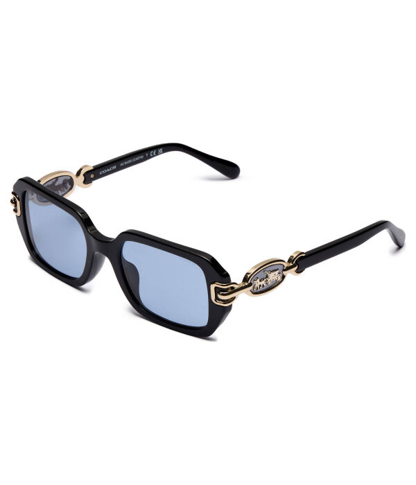 Солнцезащитные очки Coach, черный
Солнцезащитные очки Coach, черный
