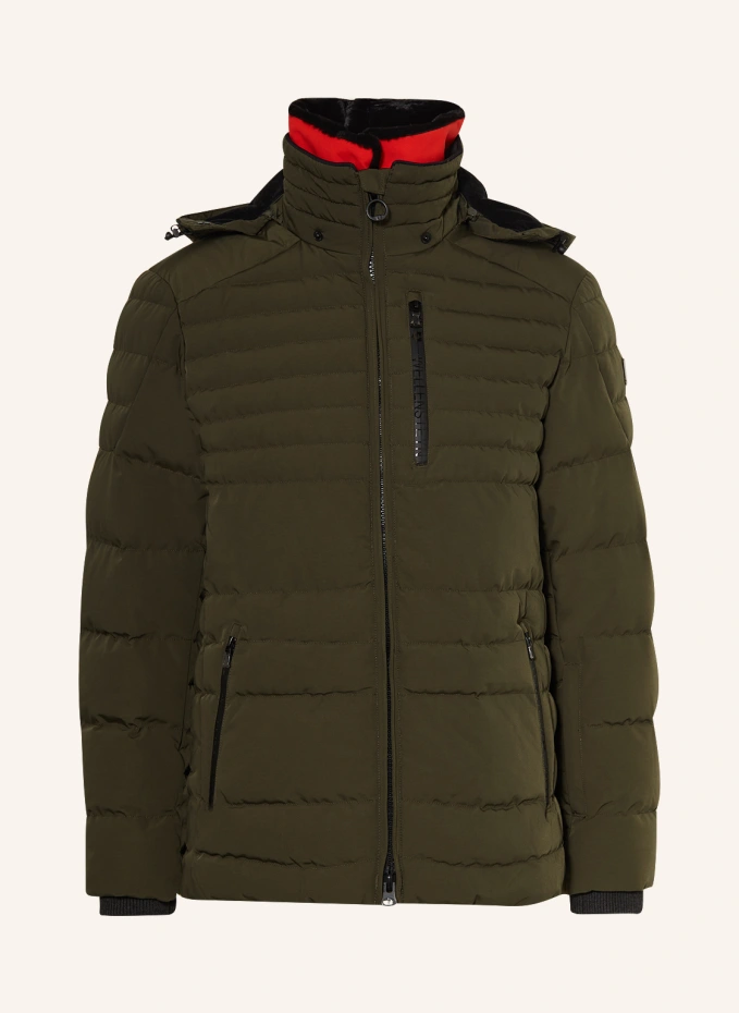 Лыжная куртка polar со съемным искусственным мехом Wellensteyn, зеленый
Лыжная куртка polar со съемным искусственным мехом Wellensteyn, зеленый