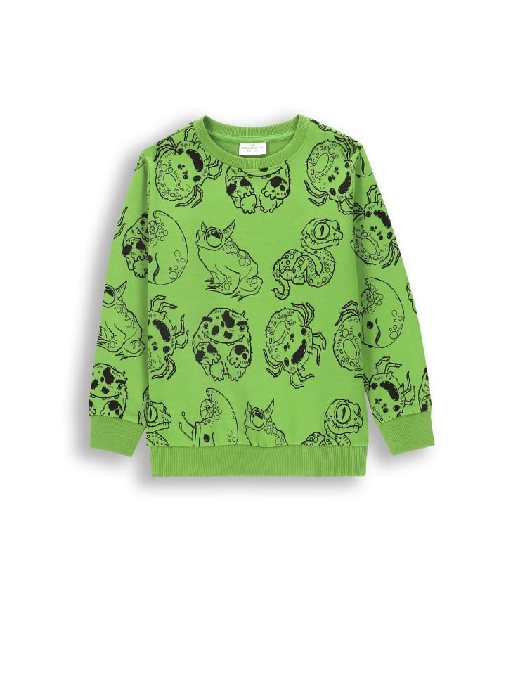 Толстовка Coccodrillo, зеленый
Толстовка Coccodrillo, зеленый