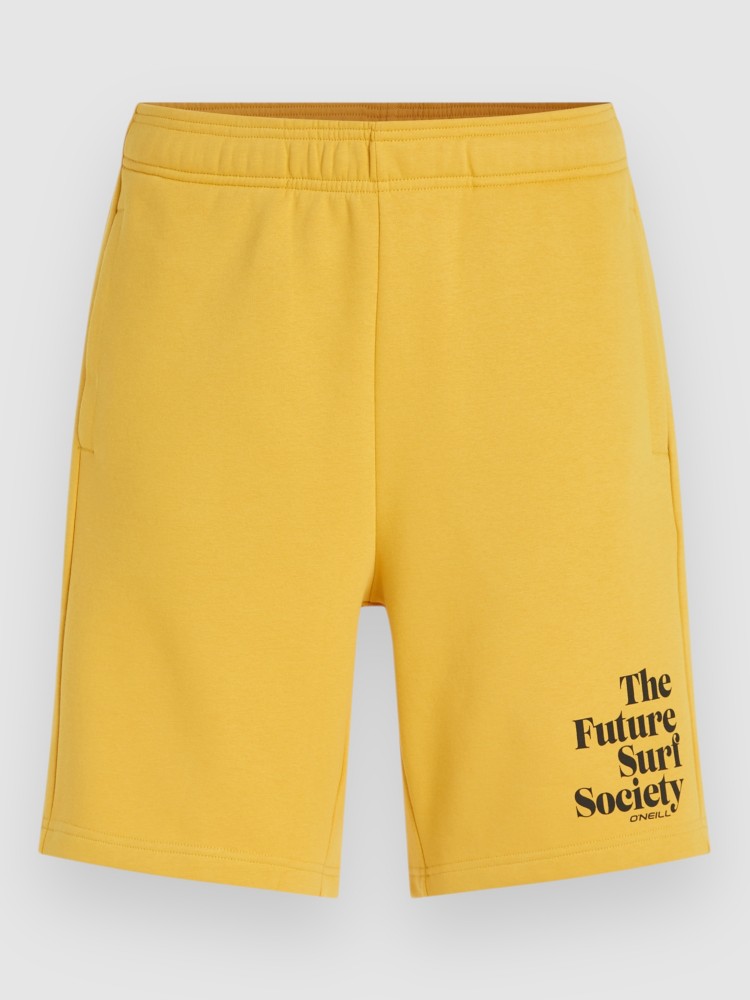 Шорты O'Neill Future Surf Society Shorts, golden haze
Шорты O'Neill Future Surf Society Shorts, golden haze