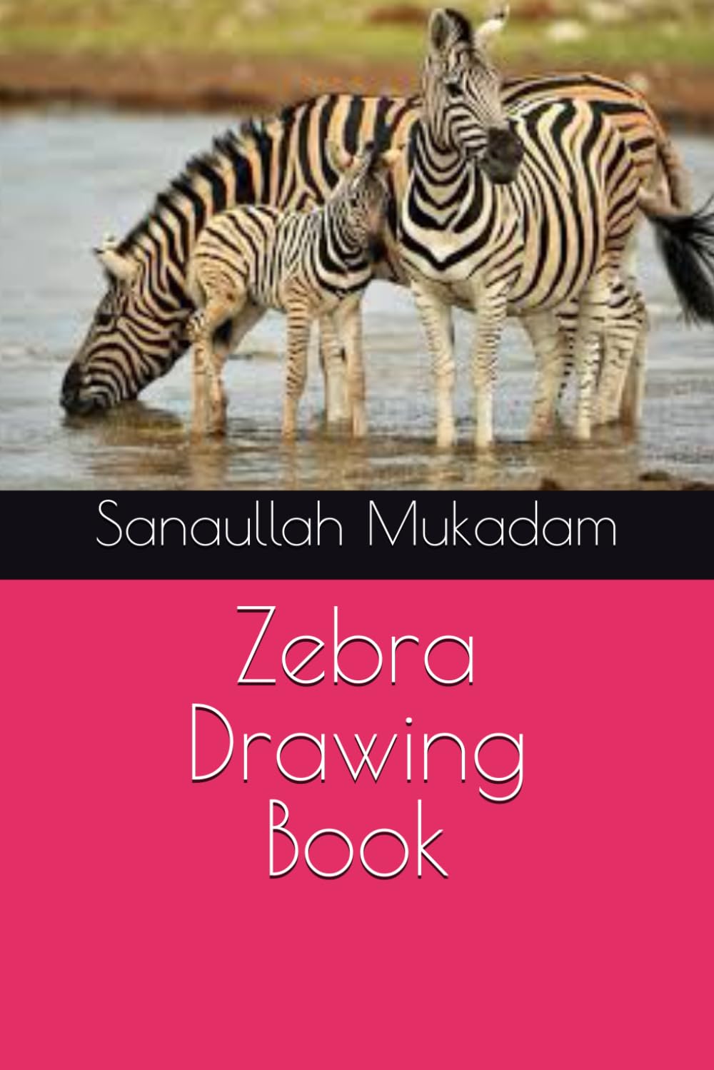 Zebra Drawing Book (Independently published)
Zebra Drawing Book (Independently published)