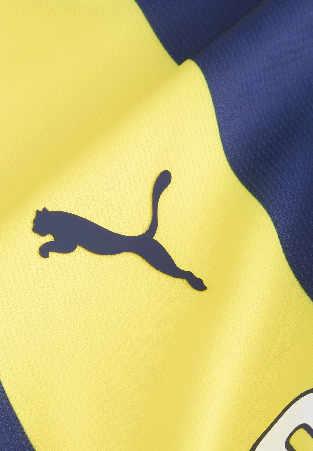 Спортивная футболка FENERBAHÇE SK Puma, желтый
Спортивная футболка FENERBAHÇE SK Puma, желтый