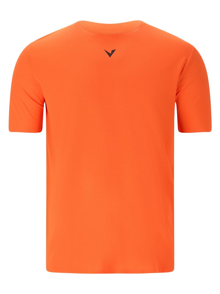 Футболка Virtus, цвет 5117 dragon fire
Футболка Virtus, цвет 5117 dragon fire